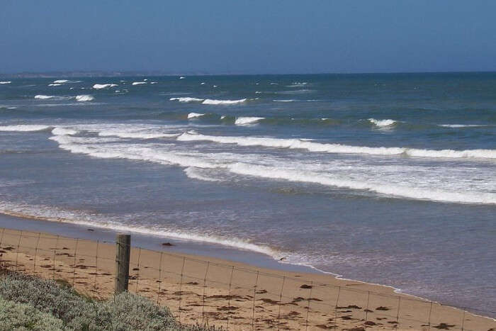 The Bellarine Peninsula Great Ocean 