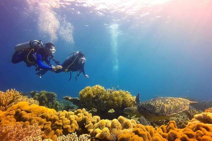 The Chapel Dive Site