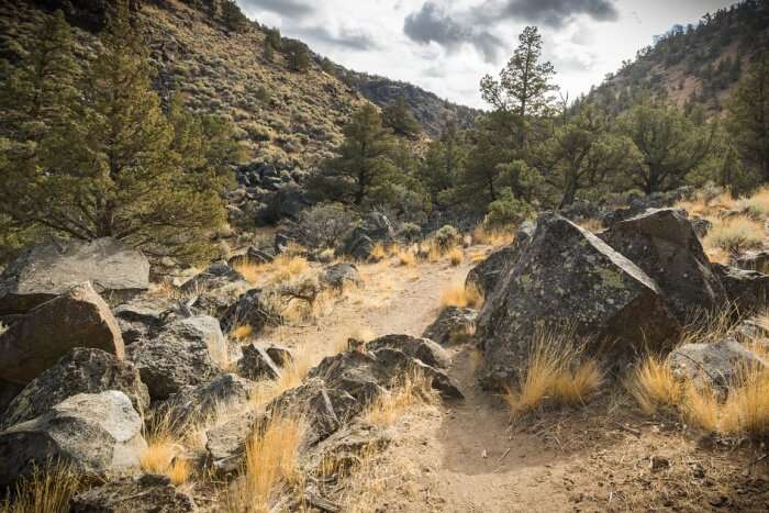The Eagle Rock Canyon Trail