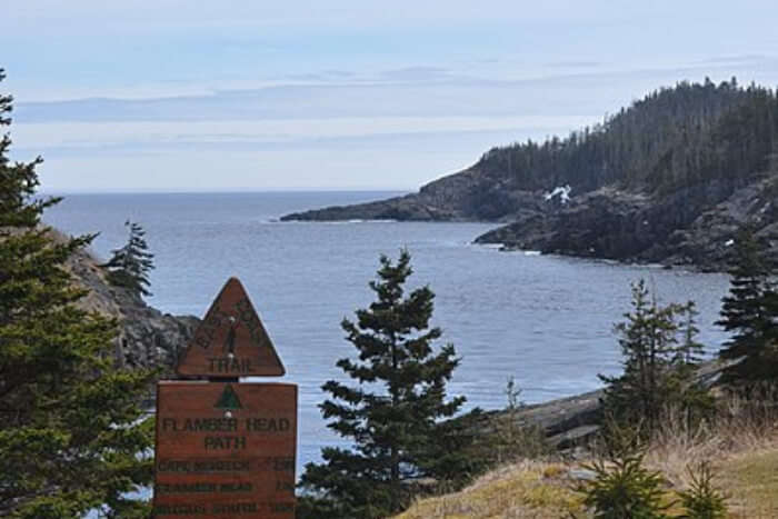 The East Coast Trail View