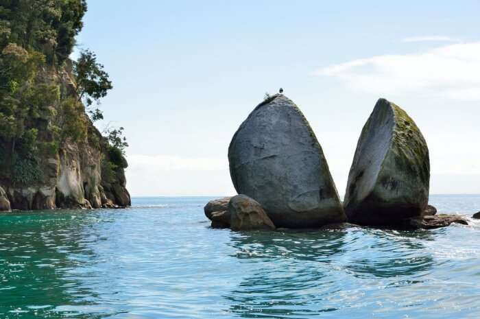 The Nelson and Abel Tasman National Park