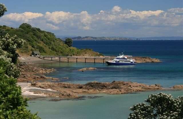 Tiritiri Matangi Island