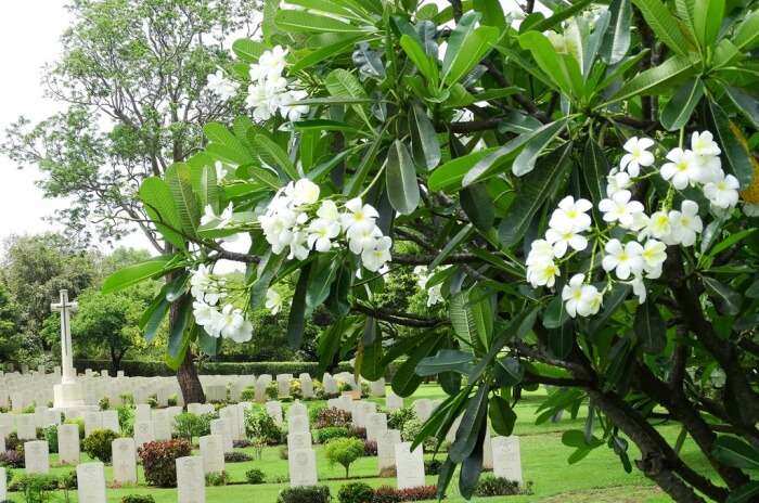 Tricomalee War Cemetery