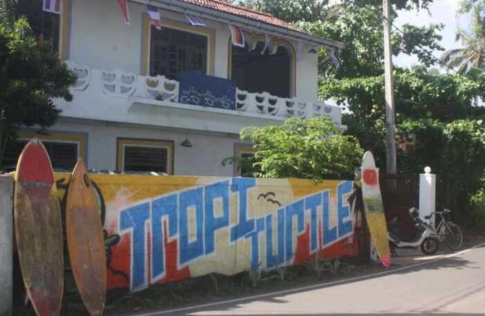 Tropi Turtle Hostel