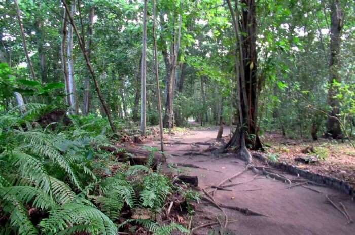 Veuve Nature Reserve