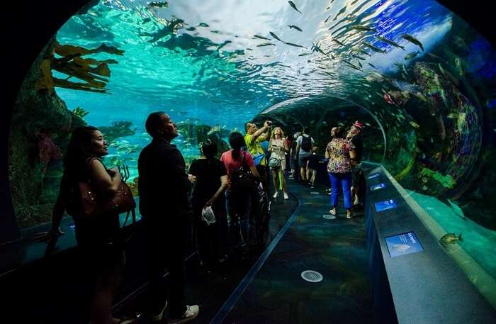 Visit-Ripley’s-Aquarium-Of-Canada