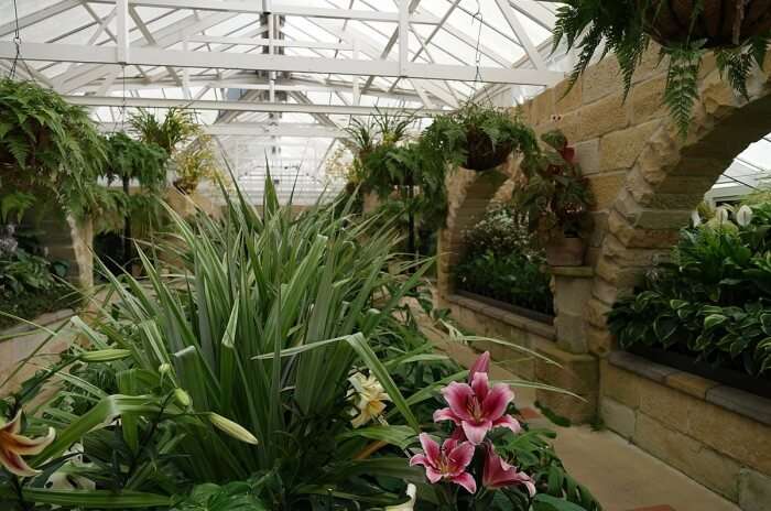 Visit Royal Tasmanian Botanical Gardens