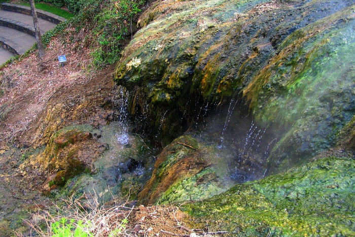 Hot Spring Park