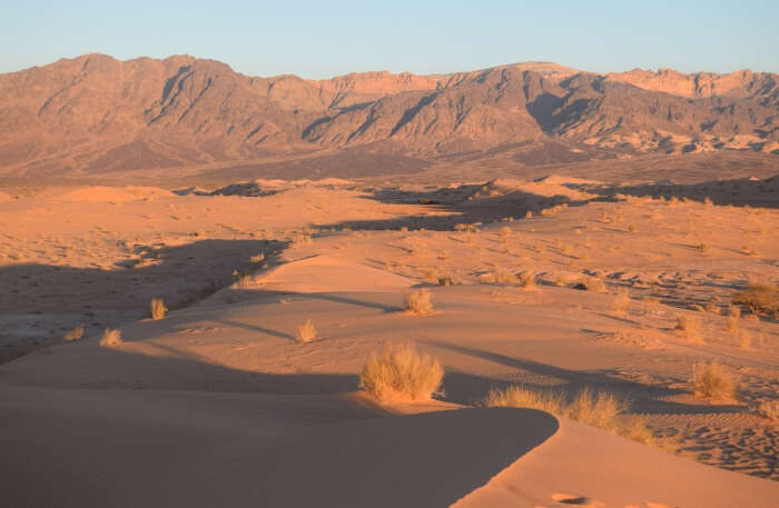 Wadi Araba Desert