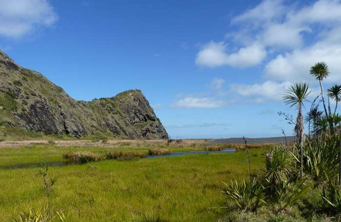 View of Waitakere Ranges