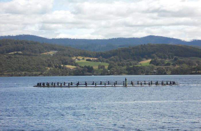 Wattle Grove Lake in Sydney