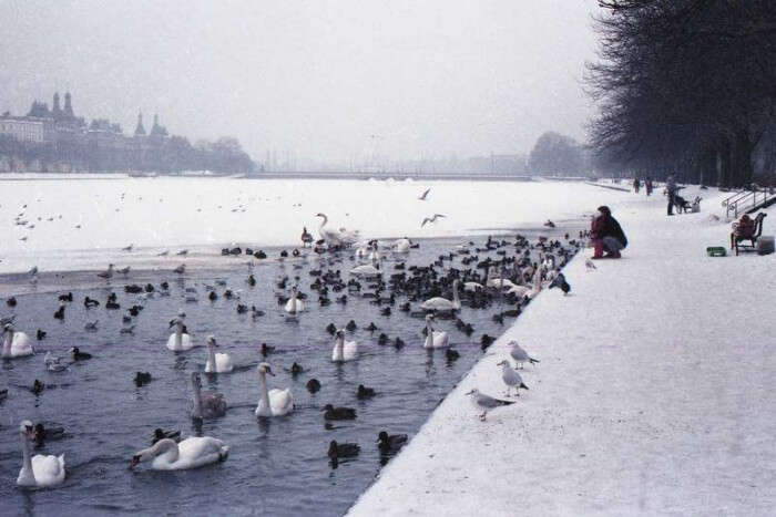 Weather In Denmark In Winter