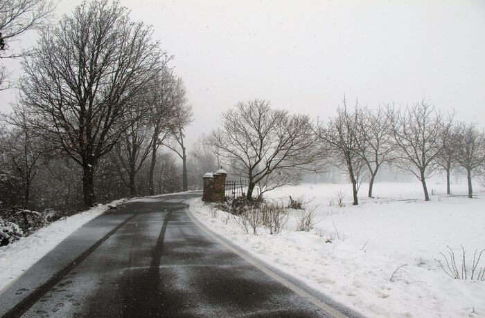 Weather of Italy in January