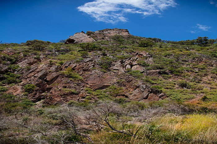 Werribee Gorge State Park Circuit