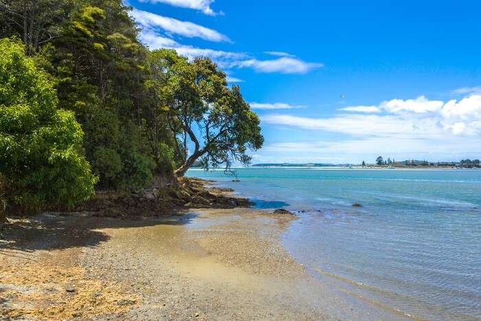 Whangateau Harbour