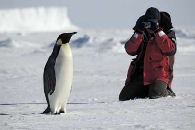 Exotic Wildlife In Cape Town