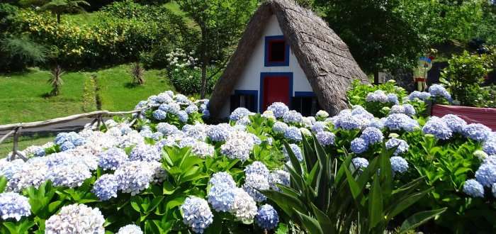 Madeira theme park 