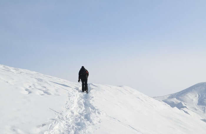 Above Arctic Circle