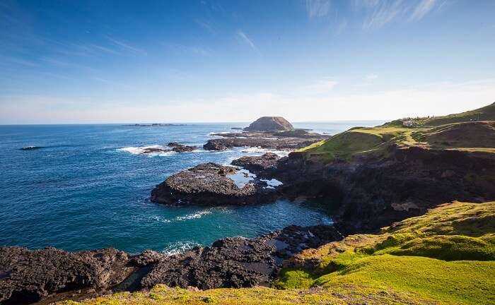 Adventures At The Philip Island