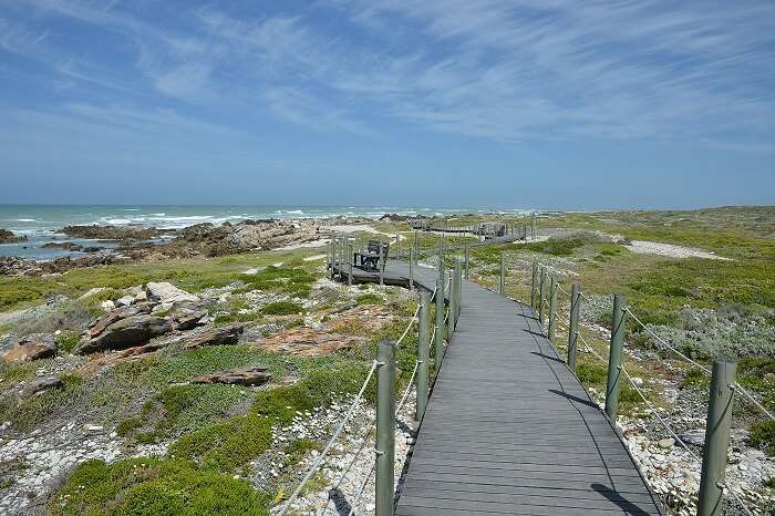 Agulhas National Park