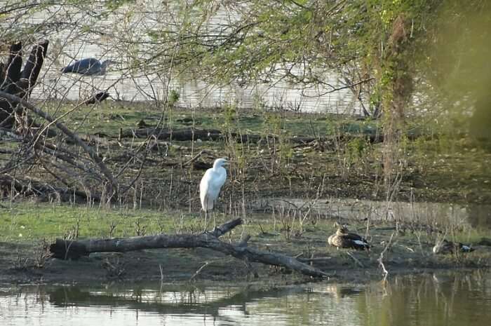 Anawilundawa Wetland Sanctuary