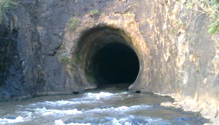 Anchuruli Waterfalls in Idukki