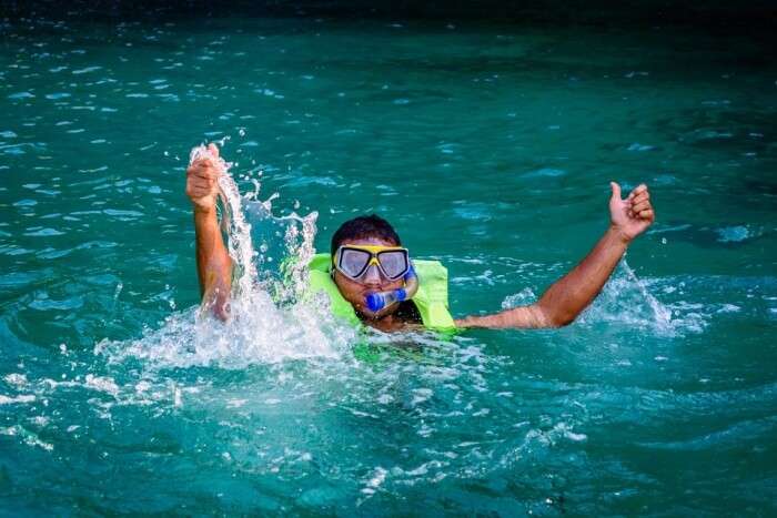 Animal Ocean Seal Snorkeling