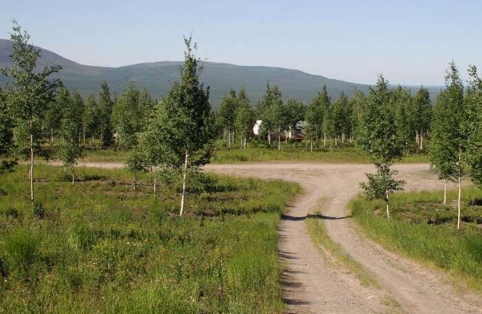 Arctic Circle trail