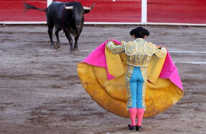 Attend the Bull Fight
