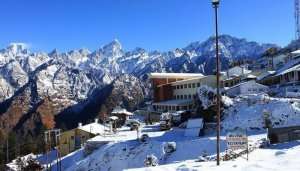 Auli