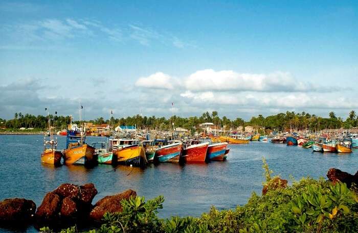 Beruwala Fish Harbour