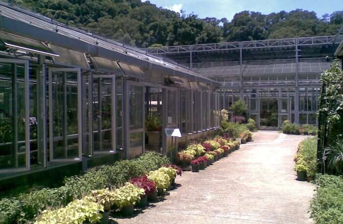 Best Time To Visit Kadoorie Farm And Botanic Garden