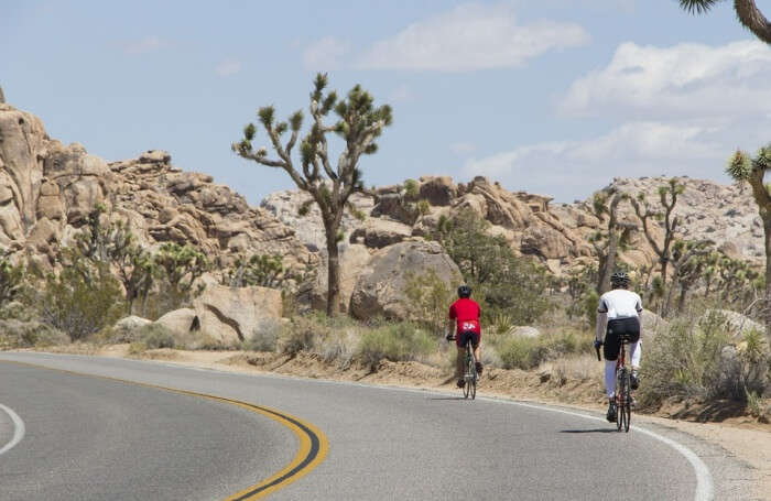 Bicycle Excursion