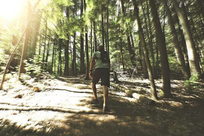 Bird’s Nest Hike
