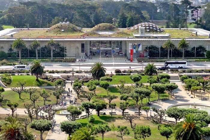 California Academy of Sciences