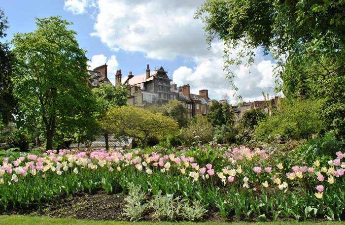 Chelsea Physic Garden