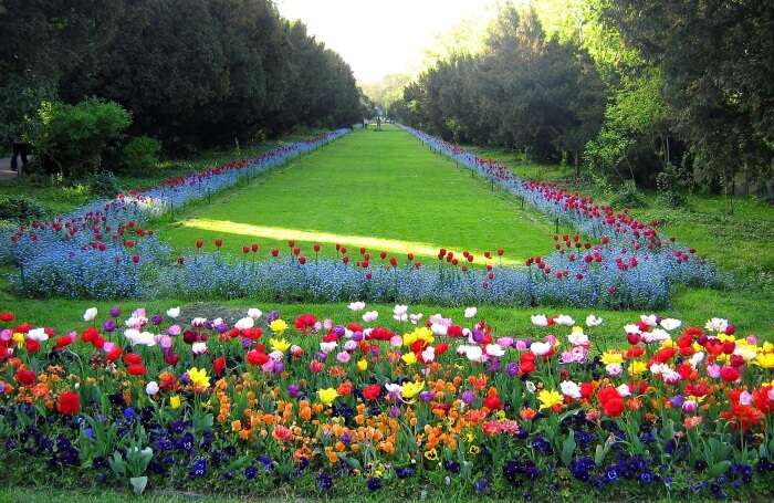 Cişmigiu Garden