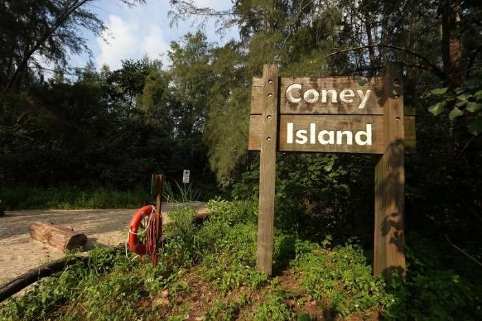 Coney Island Park