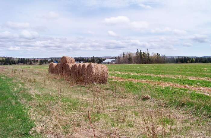 Confederation Trail in Canada