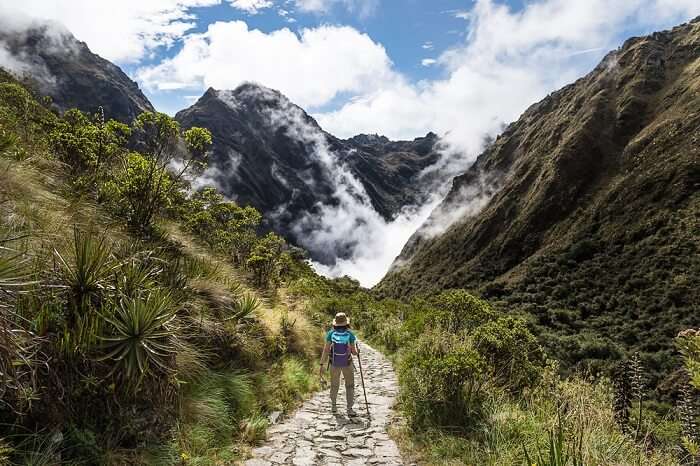 Cover For Inca Trail