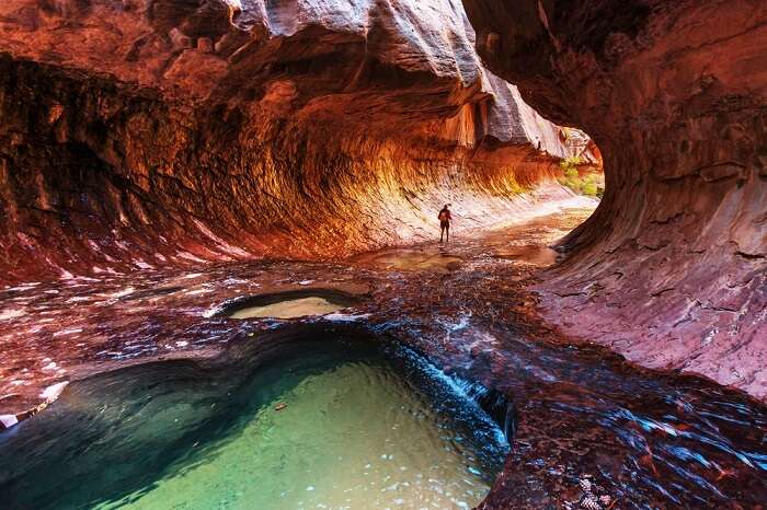 Narrows Trek