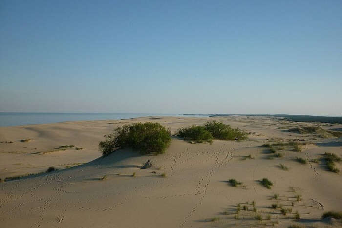 Curonian Spit National Park