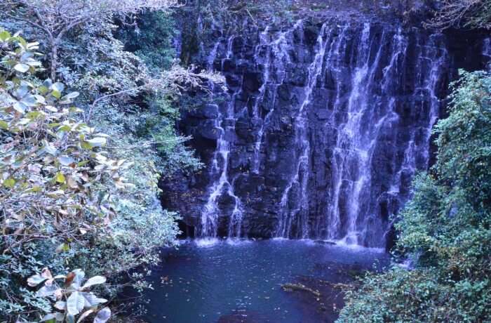 saw the Elephant waterfalls 