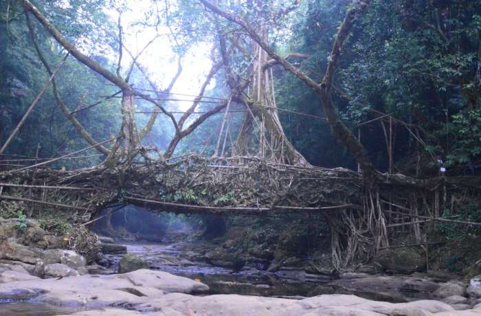 way to Cherrapunji