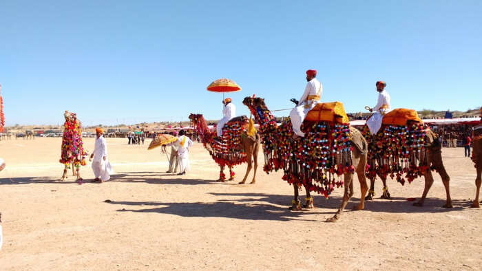 Desert Festival Jaisalmer in Jaisalmer