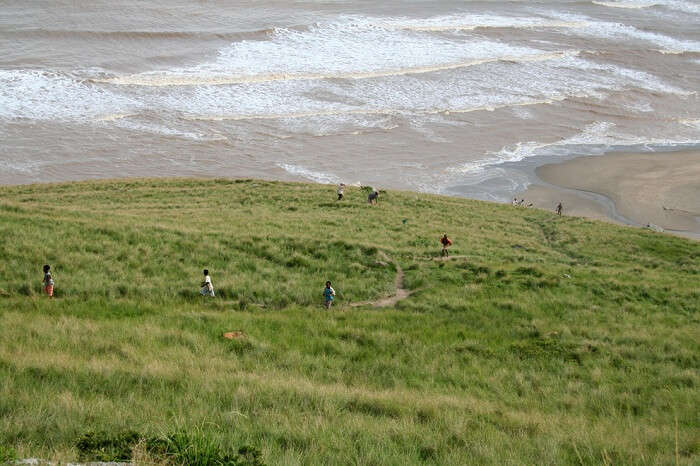 Dwesa and Cwebe Nature Reserve