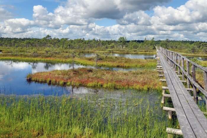 Andala Nature Reserve