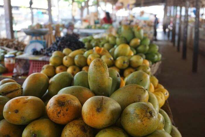 Enjoy Famous Jaffna Mangoes