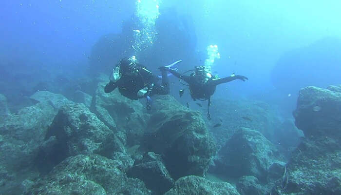 Scuba Diving In Portugal (With Photos): 10 Centers (Updated 2023 List)