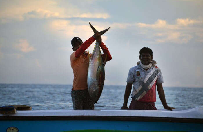 Fishing Village